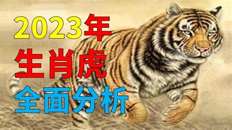 屬虎2023運勢|【屬虎2023生肖運勢】財運步步高升，桃花運銳不可。